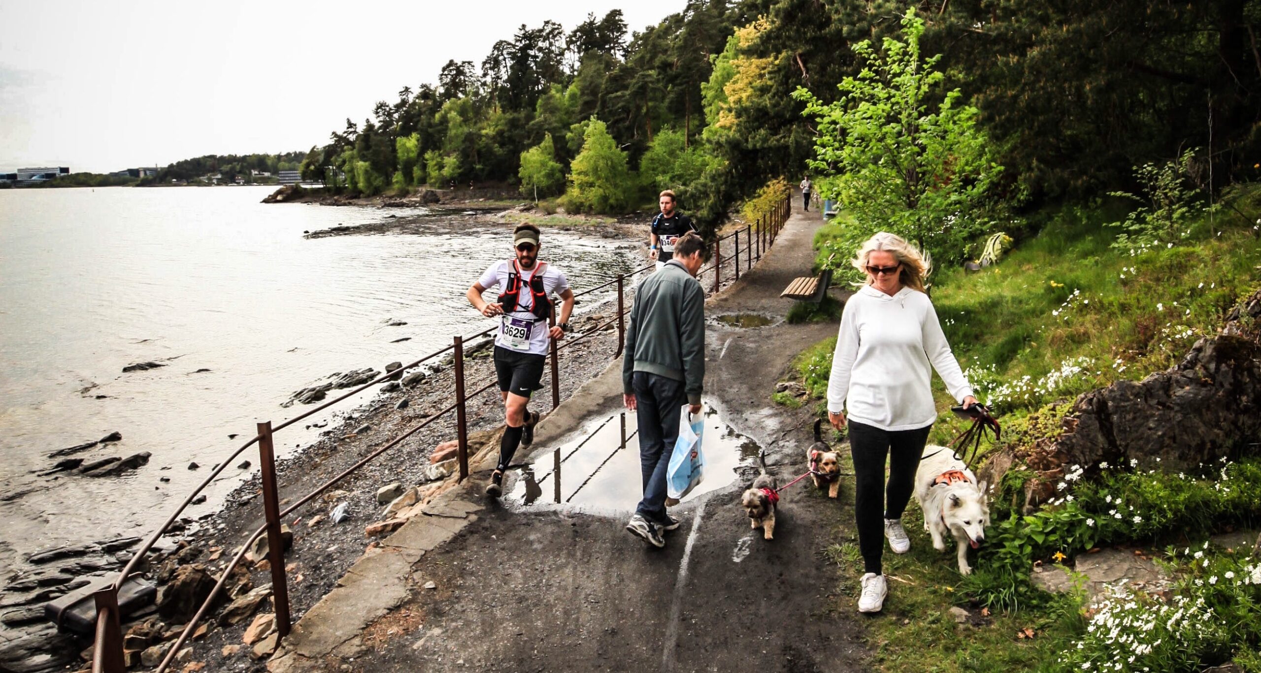 Opplev Oslo på 31 km